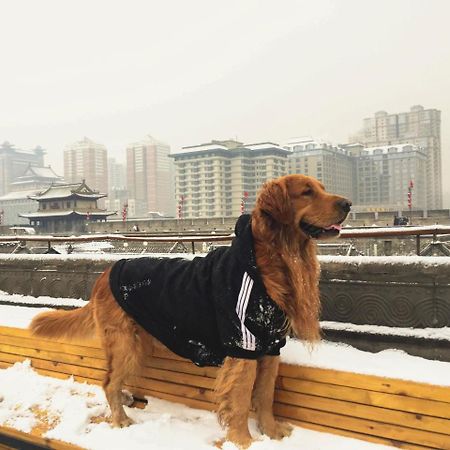 Хостел Jano'S Backpackers Xi'An Сіань Екстер'єр фото